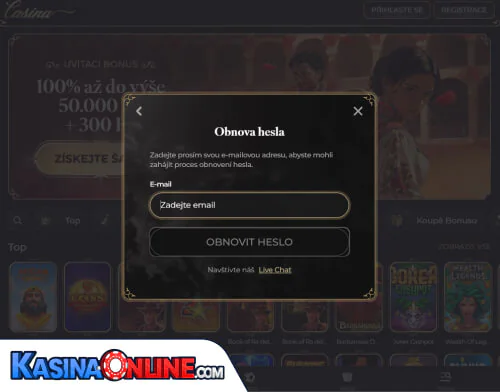 Casina Кasino Problémy s přihlášením