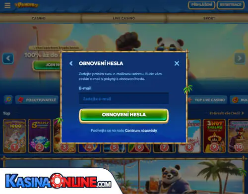Pandido Кasino Problémy s přihlášením