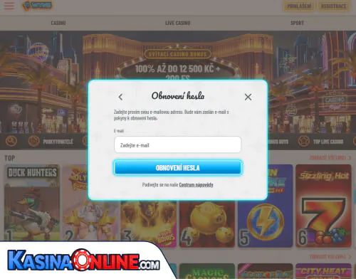 Wyns Кasino Problémy s přihlášením