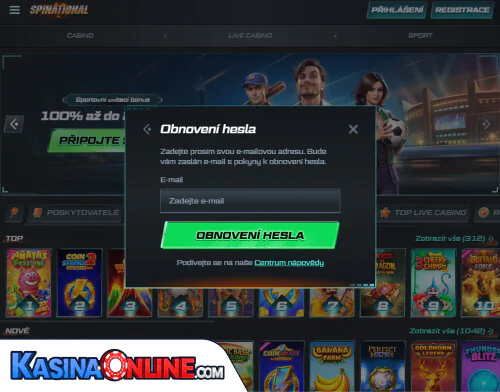 Spinational Кasino Problémy s přihlášením