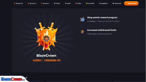 Blaze Spins Кasino vip program