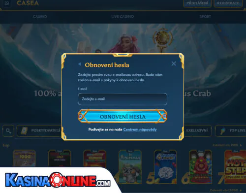 Casea Кasino Problémy s přihlášením