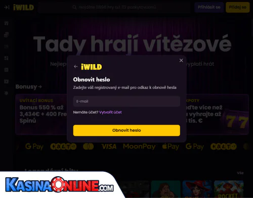iWild Кasino Problémy s přihlášením