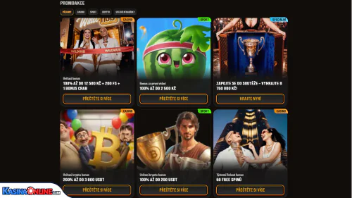 WildHub Кasino Bonusy