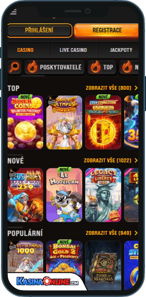 WildHub Кasino Mobilní aplikace