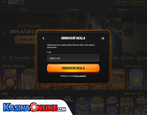 WildHub Кasino Problémy s přihlášením