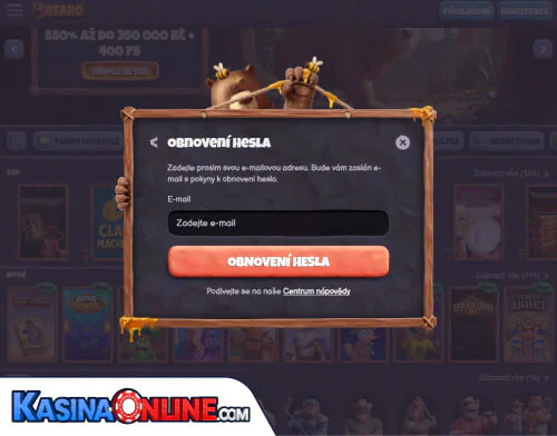 Bearo Кasino Problémy s přihlášením